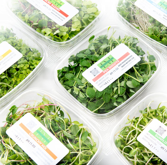 Farmer's Pick 4-Pack