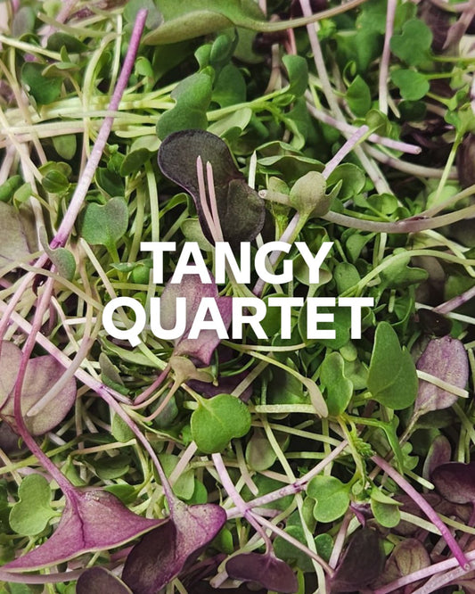 Tangy Quartet Mix