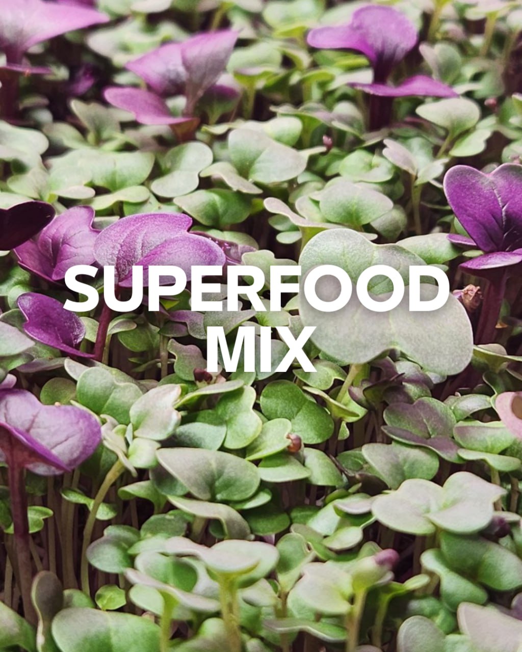Superfood Mix 1.5oz Clamshell