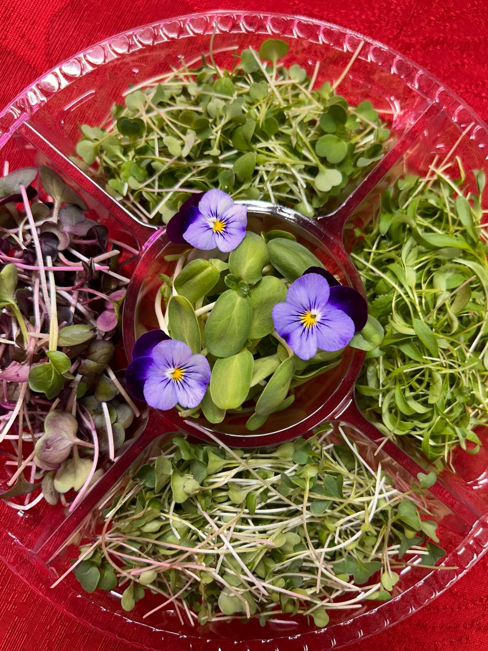 Green Carousel – Seasonal Microgreens Selection