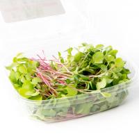 Radish, 2.5oz Box (Box)