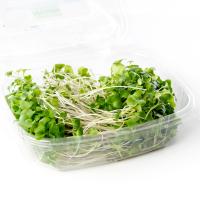 Broccoli, 2oz Box (Box)