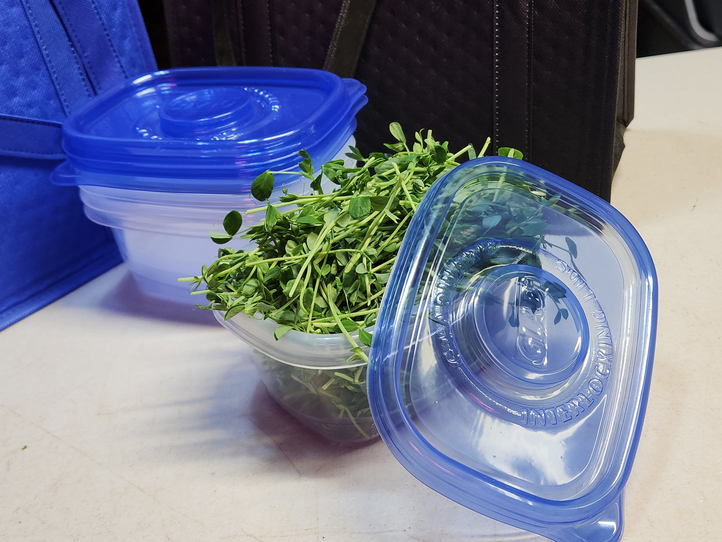 Reusable Microgreens Containers – Set of 8