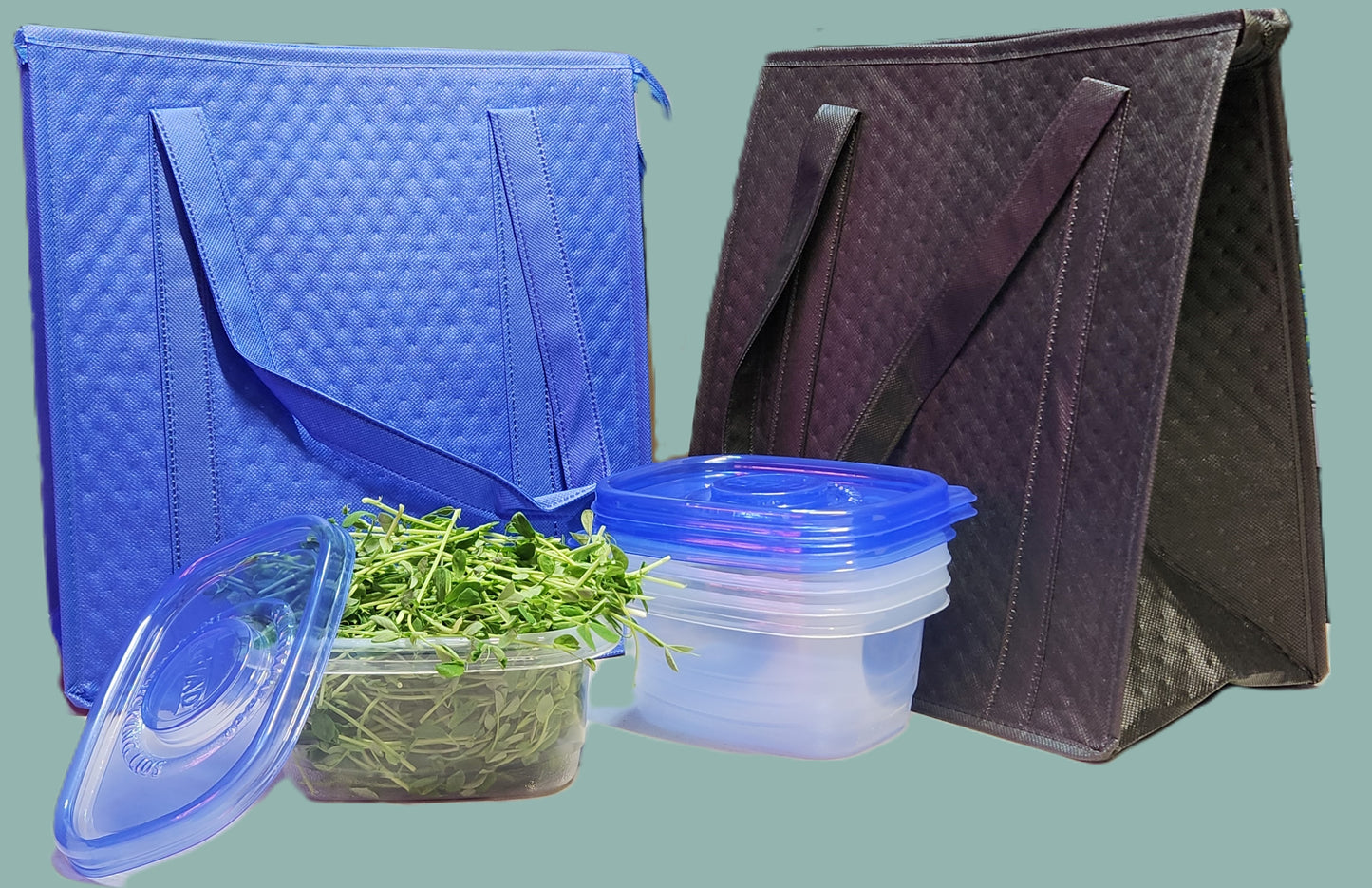 Special Bundle: 2 Insulated Grocery Bags + 8 Reusable Containers