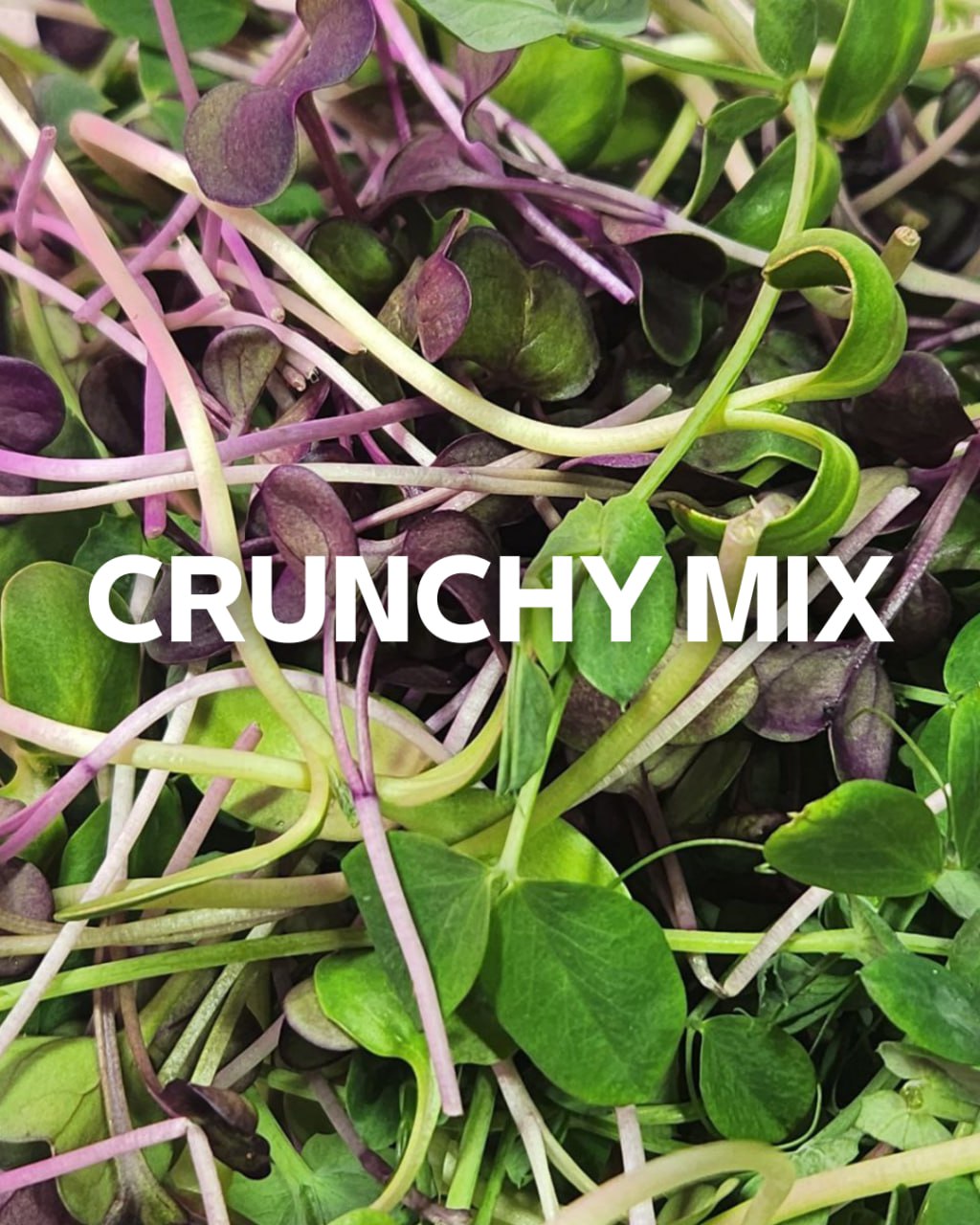 Crunchy Mix, 2.5oz Box (Box)