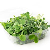 Pea Shoots, 3.5oz Box (Box)