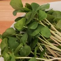 Buckwheat, 2oz Box (Box)